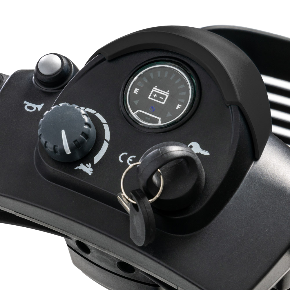 Tiller console with the horn, speed dial, battery gauge and key switch