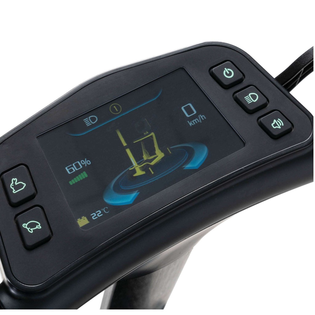 Colour display console with power, headlight, horn and speed buttons on the tiller