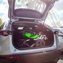 A folded green Sphynx lying in the open trunk of a car