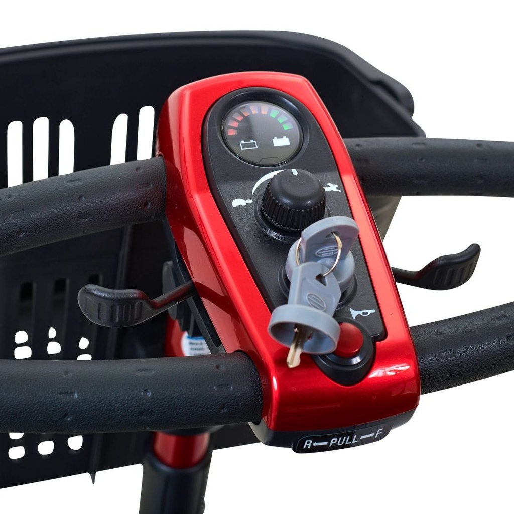 Delta Tiller console on the LiteRider GL111, with its battery gauge and key