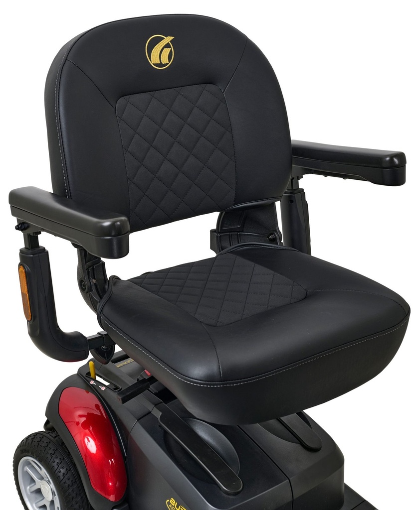 Captain's high-back seat on the Golden Eagle scooter, with the logo on the back