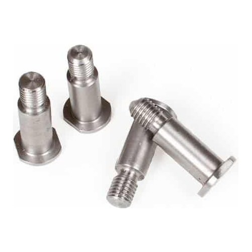 Future Mobility Max TrueFitt threaded pins for the back mount