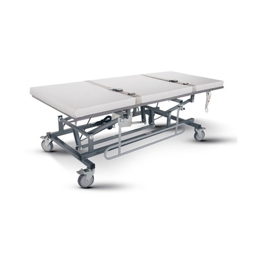 [202036] Can-Dan Mobile Height Adjustable Changing Table