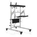 Savaria RoWalker 400 gait trainer 20101010