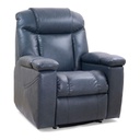Golden Rhea with Twilight PR-447 Lift Chair, Medium or Large