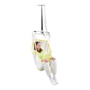 Handicare disposable universal sling with head support, medium pack 547060-10